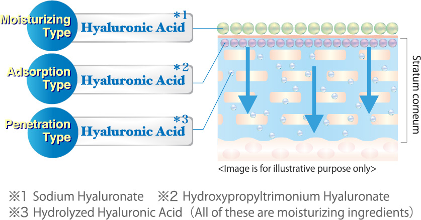 Three types of hyaluronic acid